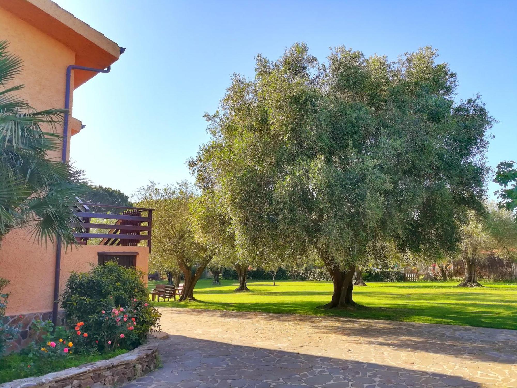 Nuraghe Bianco Bed & Breakfast ซานตา มาเรีย ลา ปาลมา ภายนอก รูปภาพ