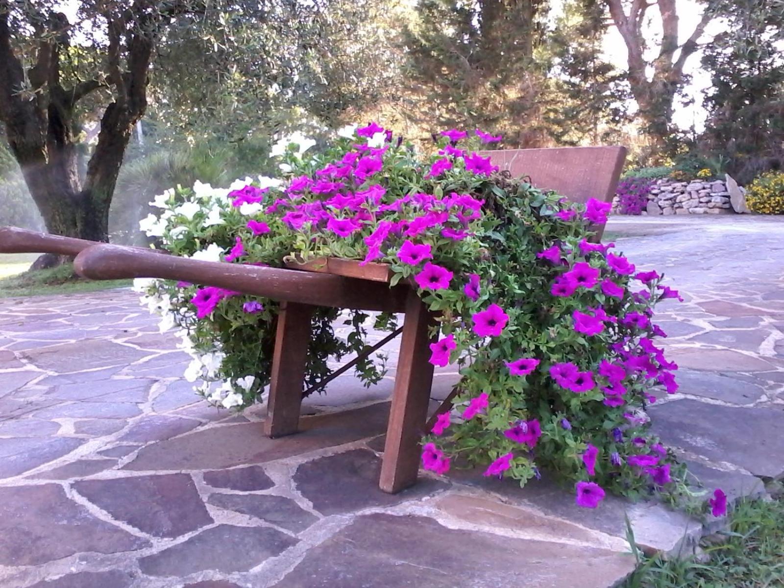 Nuraghe Bianco Bed & Breakfast ซานตา มาเรีย ลา ปาลมา ภายนอก รูปภาพ