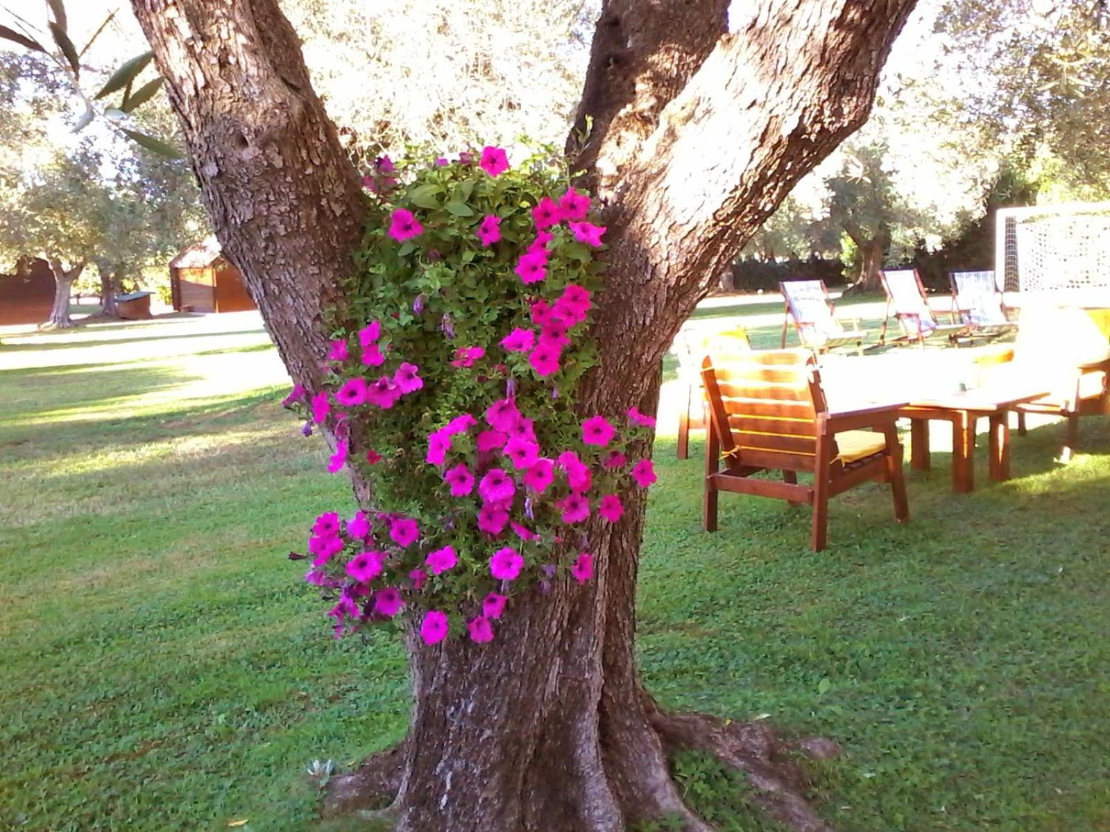 Nuraghe Bianco Bed & Breakfast ซานตา มาเรีย ลา ปาลมา ภายนอก รูปภาพ